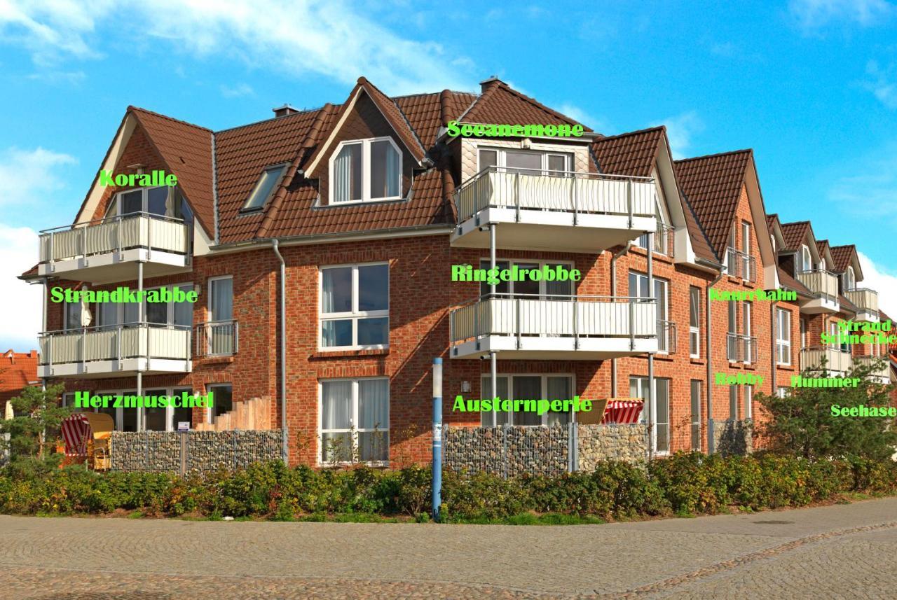 Haus Suedwester Koralle Insel Poel Eksteriør bilde